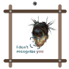 I DON'T RECOGNIZE YOU